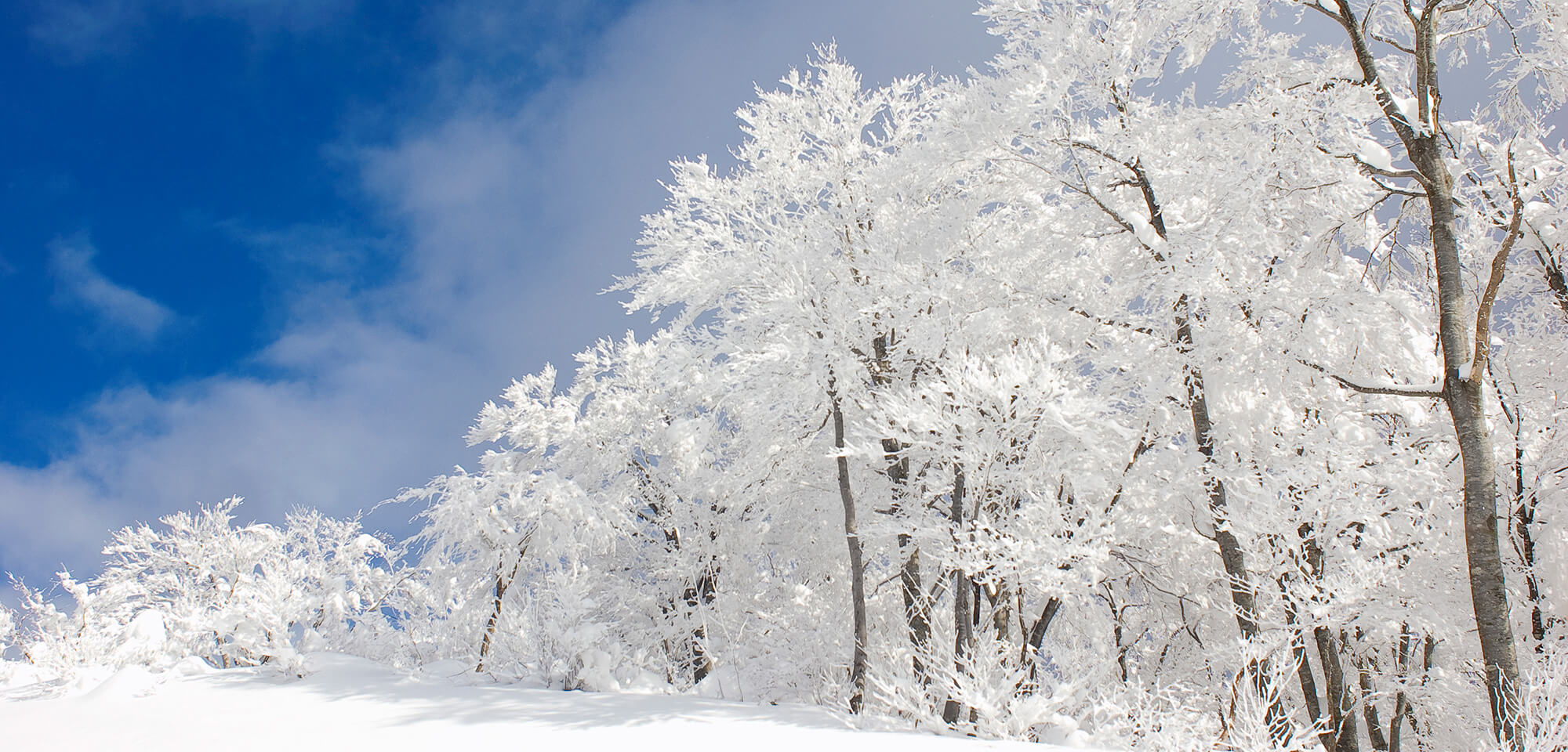 税理士法人恒輝　平松荘介事務所